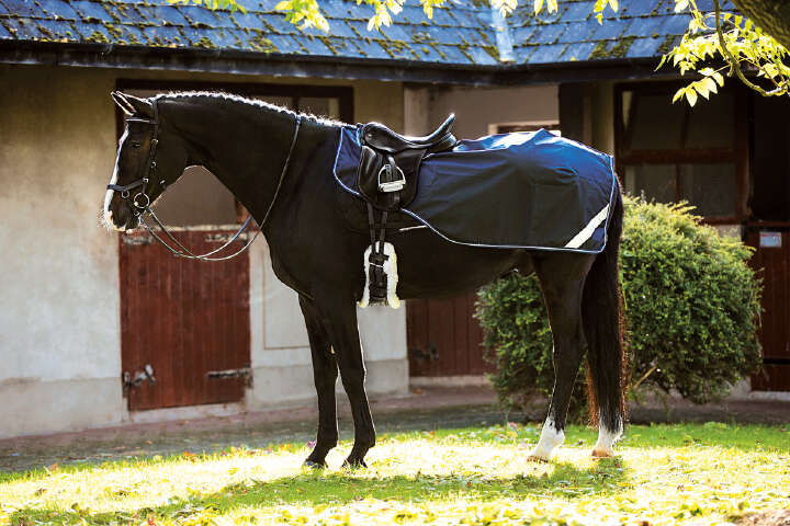 AMIGO Nierenausreitdecke Competition Sheet